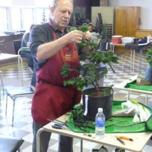 Atelier d’enrichissement pour N2-N3