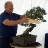 Conférence-démonstration: le bonsaï lettré ( bunjin) avec David Easterbrook