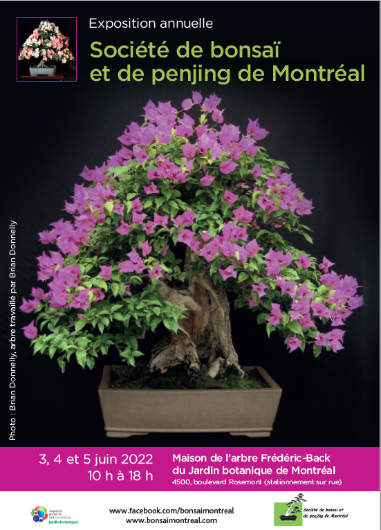 Protection hivernale - Société de bonsaï et de penjing de Montréal (SBPM)