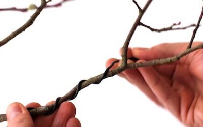 Atelier technique sur la ligature