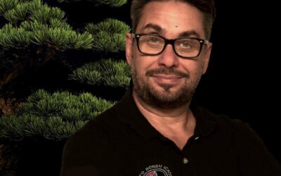 Vidéoconférences avec Michele Andolfo maintenant disponible