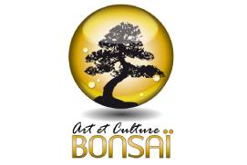 Art et culture bonsaï