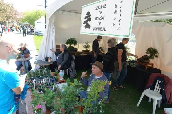 Le Rendez-vous horticole 2025