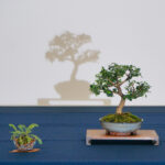 Atelier de préparation à l'exposition