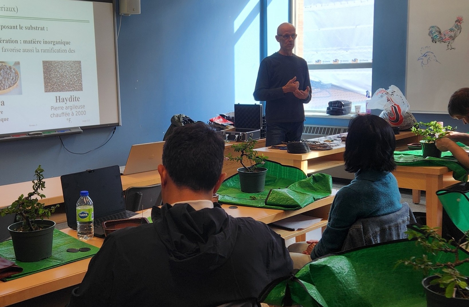 Cours niveau 1 - Image 6