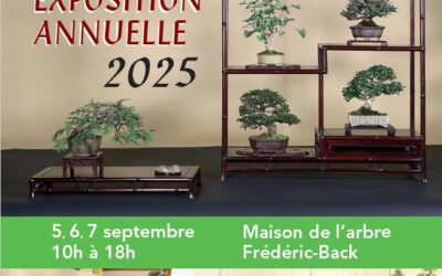 Exposition annuelle 2025 de la Société de bonsaï et de penjing de Montréal