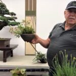 Vidéoconférence- EN AOUT… QUE FAIT-ON?