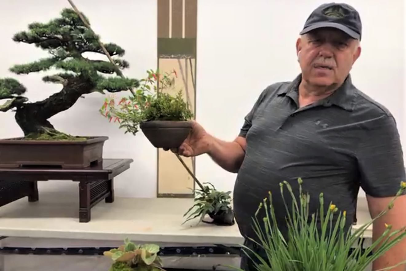 Vidéoconférence- EN AOUT… QUE FAIT-ON?