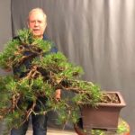 Vidéoconférence - EN JUIN… QUE FAIT-ON?