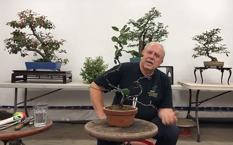 Vidéoconférence - EN SEPTEMBRE… QUE FAIT-ON?