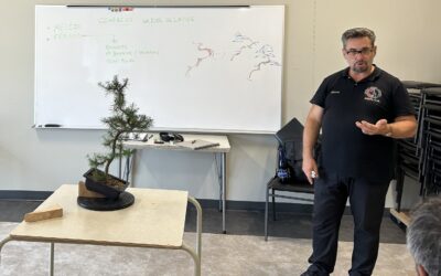 Stage avec M. Michele Andolfo – Expert Italien