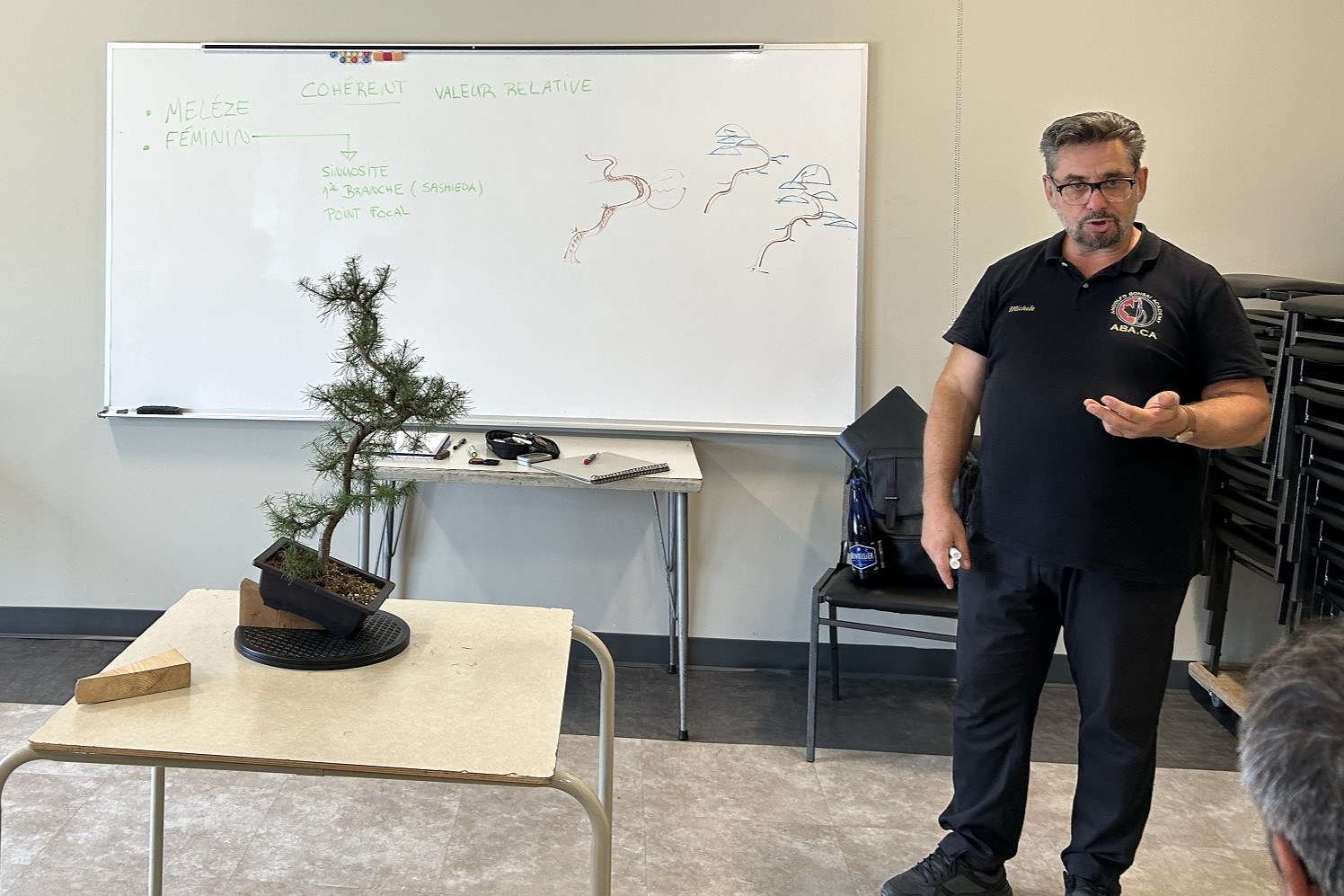 Stage avec M. Michele Andolfo - Expert Italien