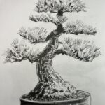 Atelier de dessin avec Daniel Shelton